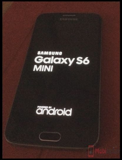 Samsung Galaxy S6 Mini pictures leaked