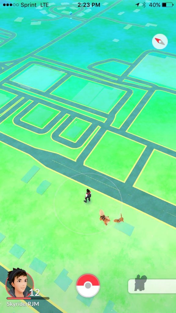 pokemon go rare-compressed