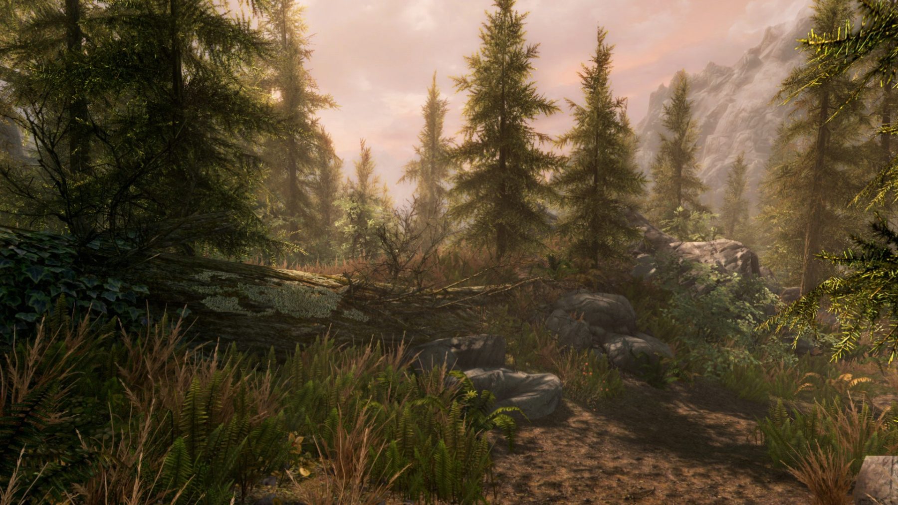 Skyrim