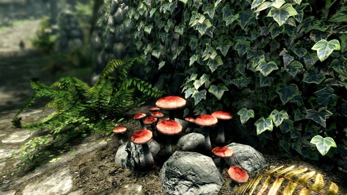 Skyrim Special Edition 3