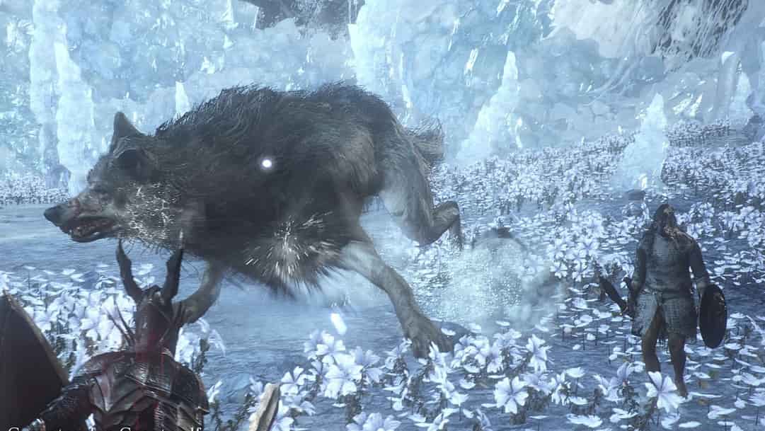 Dark Souls 3 How To Get To The Second Boss Of Ashes Of Ariandel Mobipicker