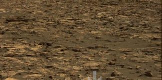 Life On Mars evidence Bear Fossil