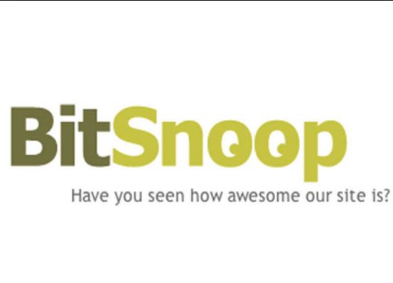 Bitsnoop torrent site shuts down
