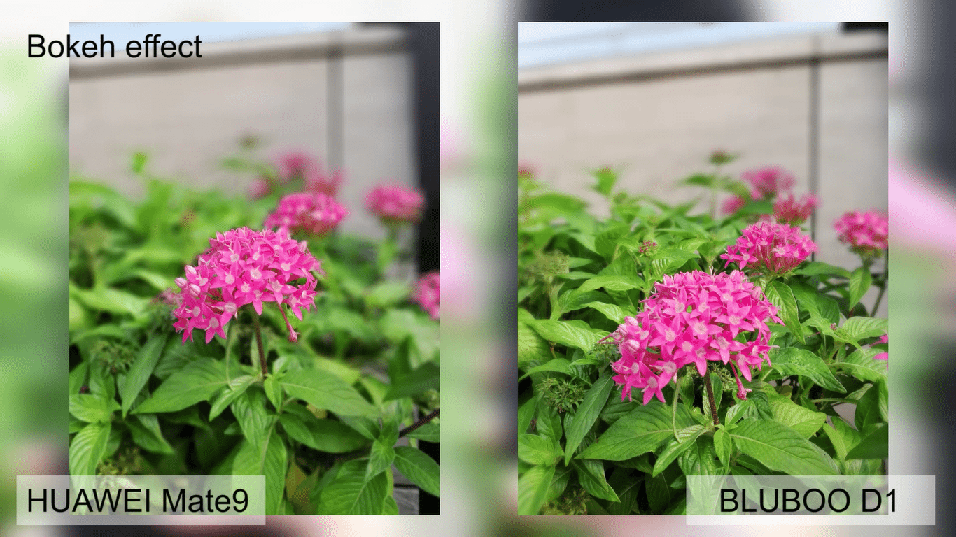 Bluboo D1 vs Huawei Mate 9 Dual Rear Comparison