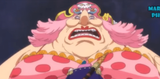 One Piece Episode 789