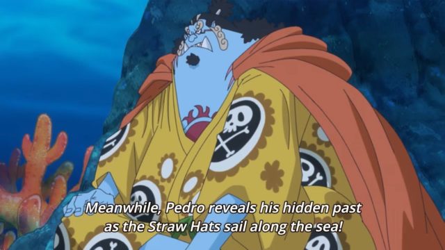 One Piece Episode 790