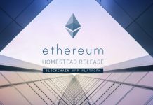 ethereum could be the next bitcoin