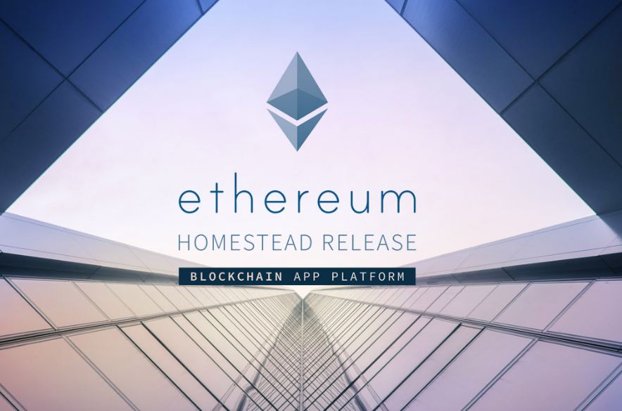 ethereum could be the next bitcoin