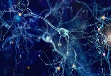 AI using new artificial synapses