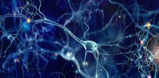 AI using new artificial synapses