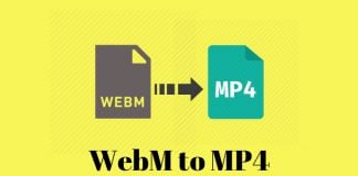 how to convert webm to mp4